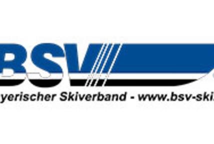 Unser Partner BSV 